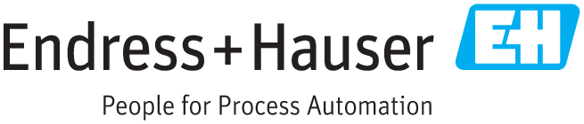 Endress+Hauser
